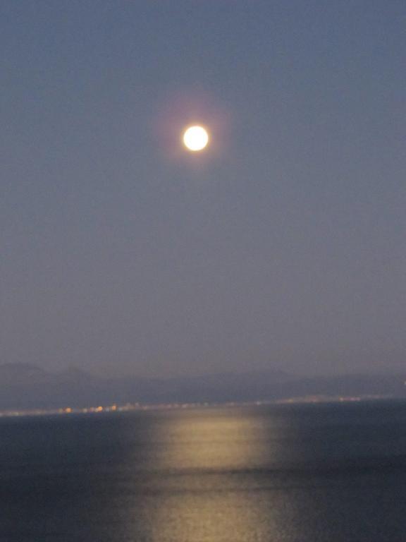Simonsview Hotel Simon's Town Bagian luar foto